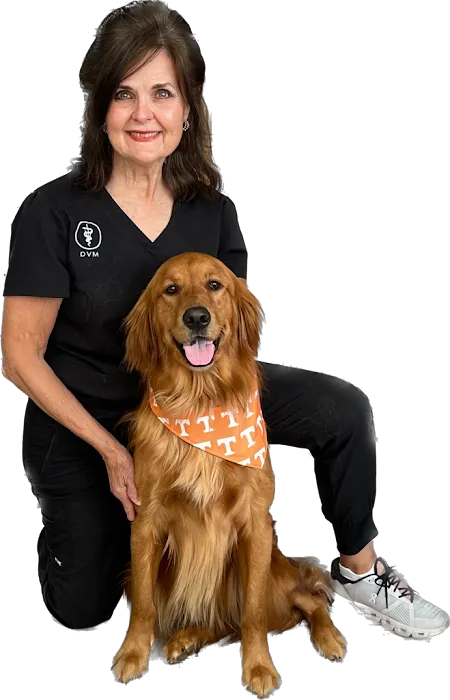 Lentz Veterinary Clinic Picture 3
