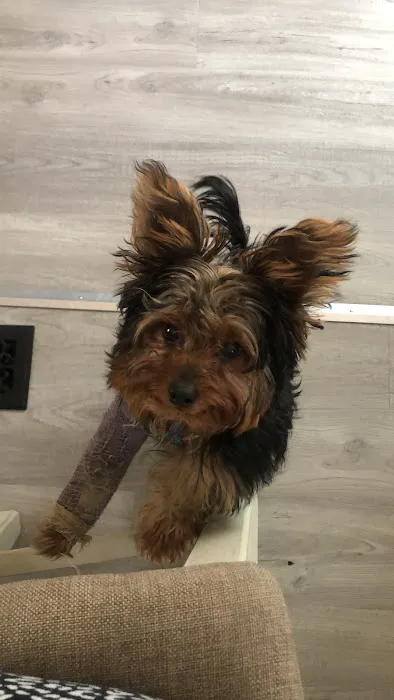 Lentz Veterinary Clinic Picture 5