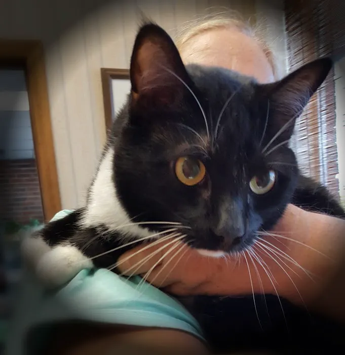 Lentz Veterinary Clinic Picture 7
