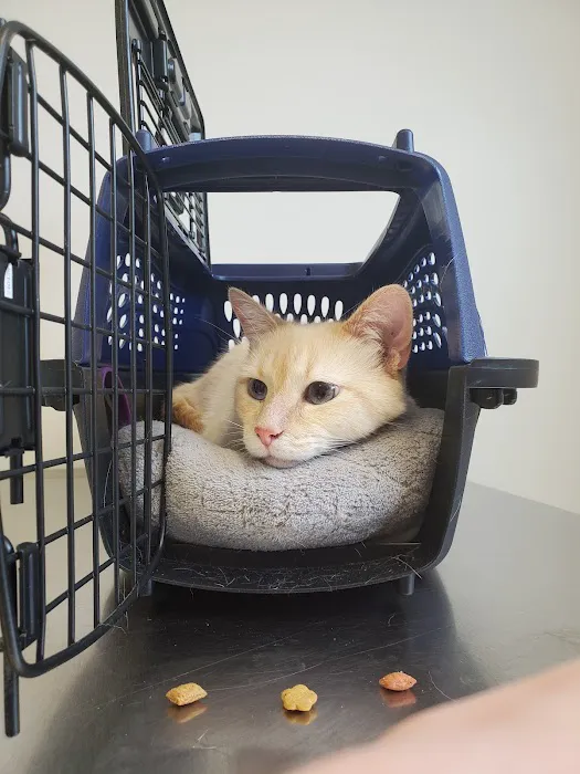 Rhea Pet Medical Center Picture 1