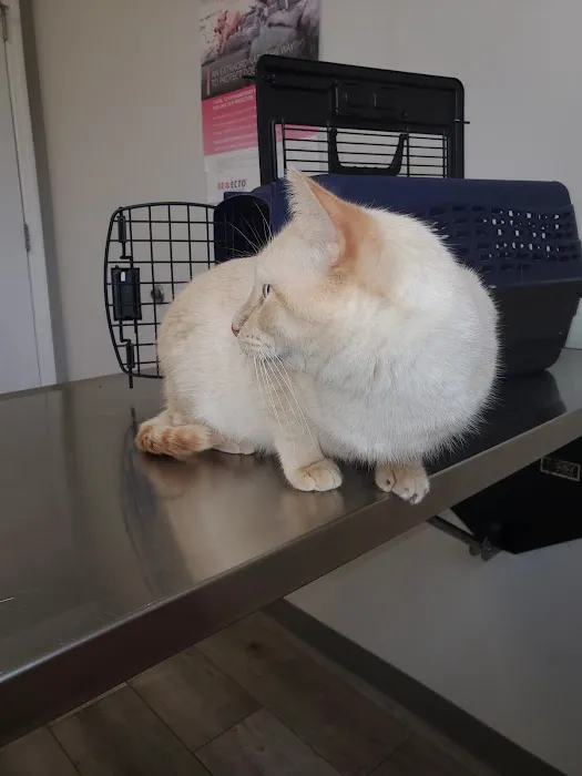 Rhea Pet Medical Center Picture 5