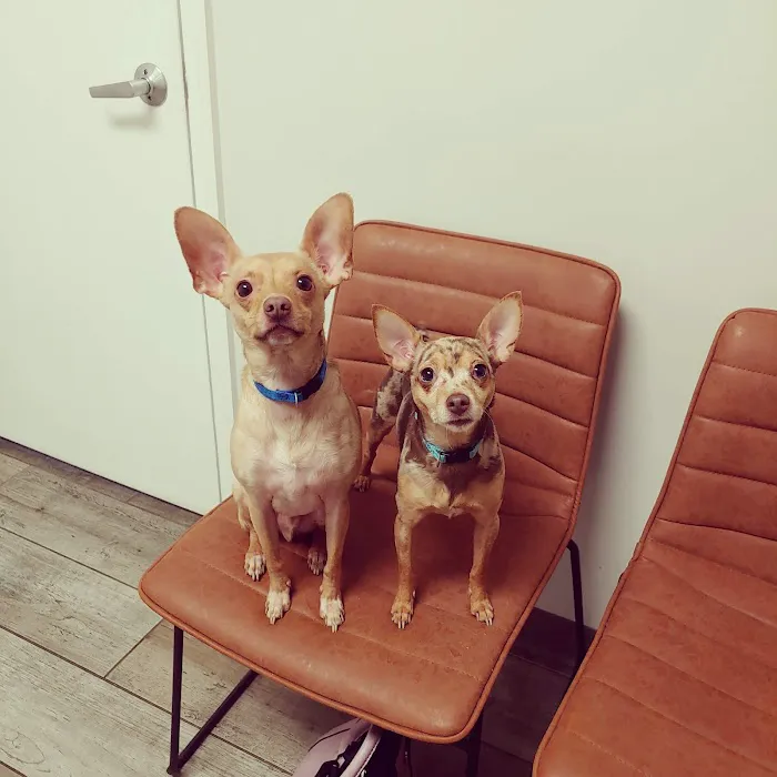 Rhea Pet Medical Center Picture 7