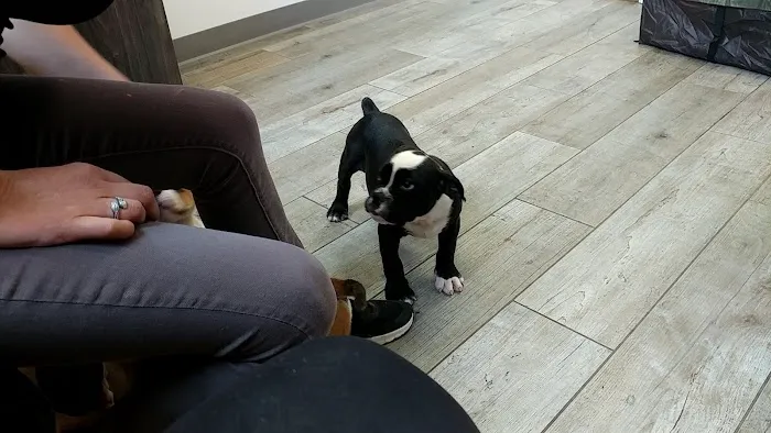 Rhea Pet Medical Center Picture 8