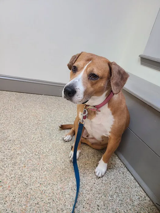 Sweetwater Veterinary Hospital Picture 4