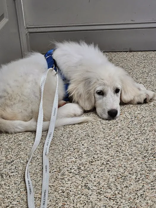 Sweetwater Veterinary Hospital Picture 5