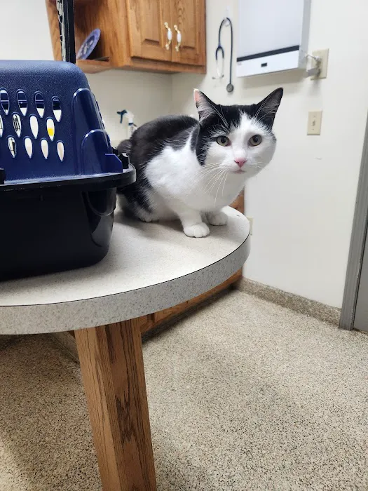 Sweetwater Veterinary Hospital Picture 7