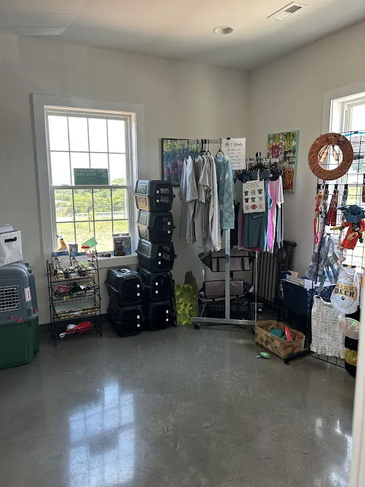 PPAW Spay/Neuter Clinic Picture 7