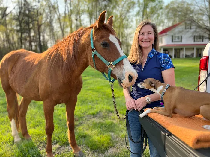 Four Star Equine Veterinary Services Picture 1