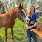 Four Star Equine Veterinary Services