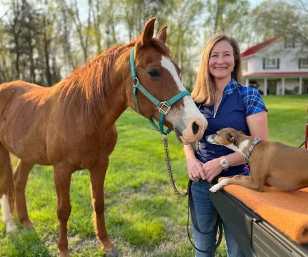 Four Star Equine Veterinary Services