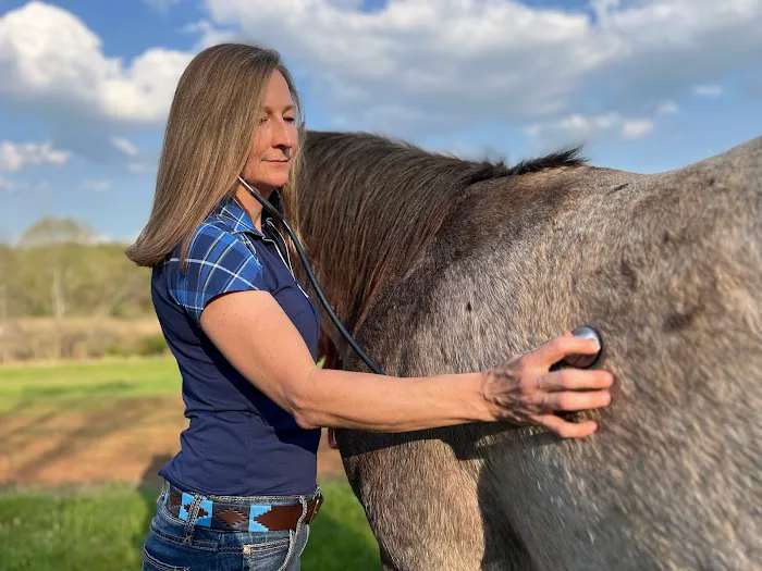 Four Star Equine Veterinary Services Picture 5