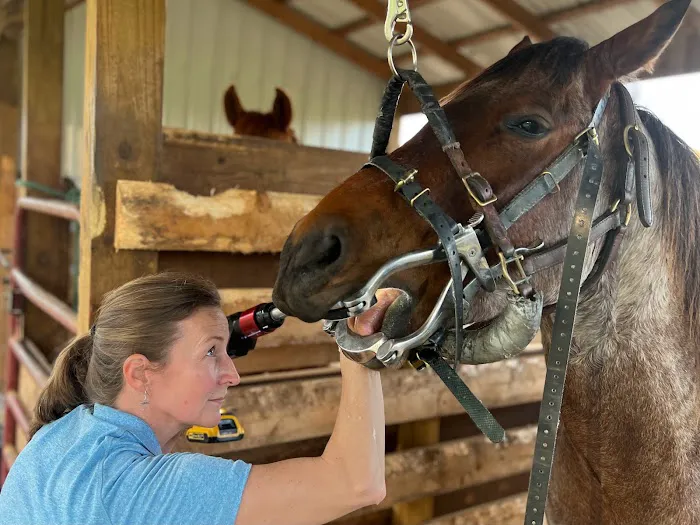 Four Star Equine Veterinary Services Picture 6