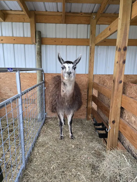 Livingston Veterinary Clinic Picture 4