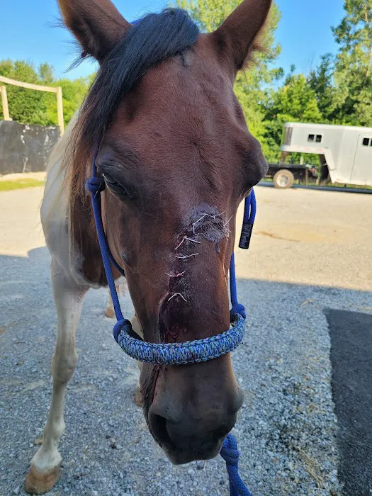 Livingston Veterinary Clinic Picture 6
