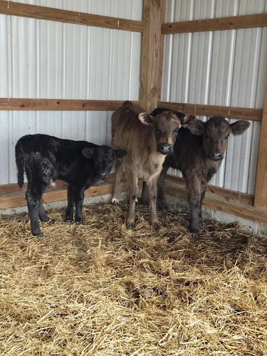 Livingston Veterinary Clinic Picture 5