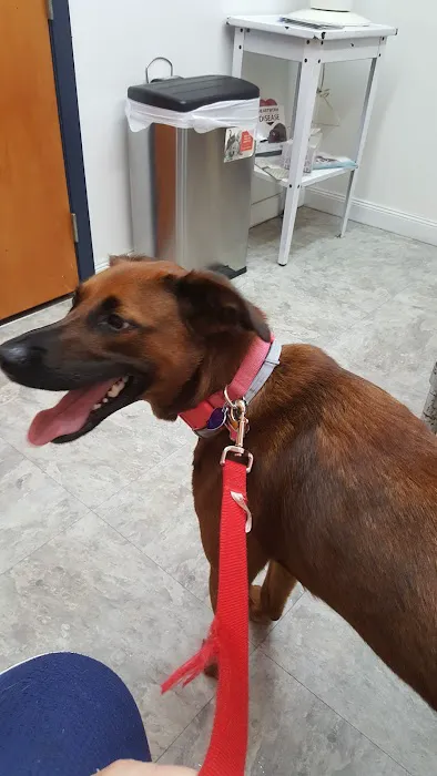 Livingston Veterinary Clinic Picture 8