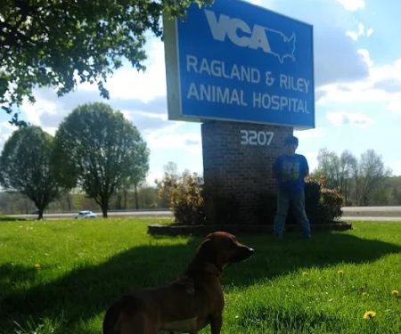 VCA Ragland & Riley Animal Hospital