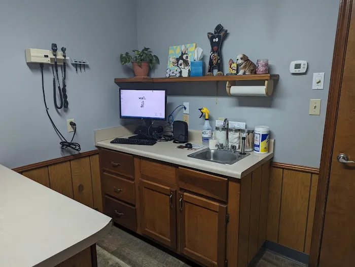 VCA Ragland & Riley Animal Hospital Picture 3
