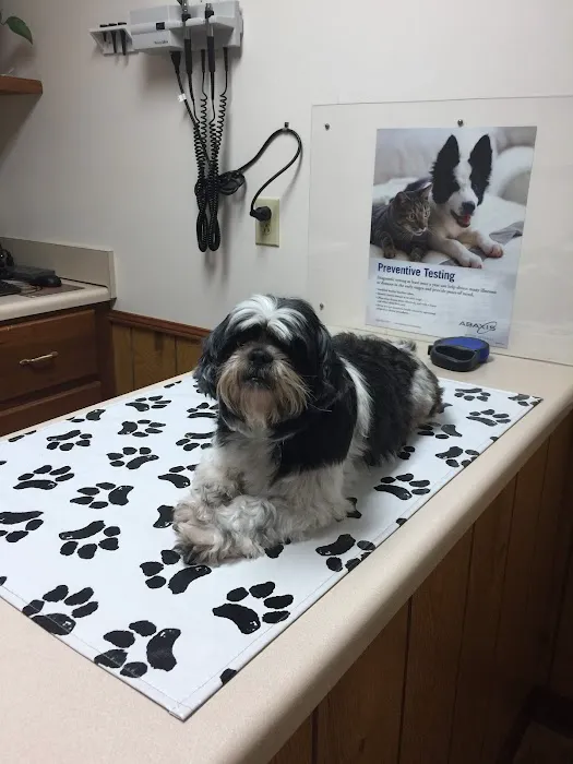 VCA Ragland & Riley Animal Hospital Picture 2