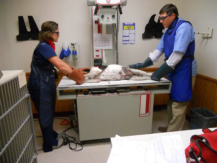 VCA Ragland & Riley Animal Hospital Picture 9