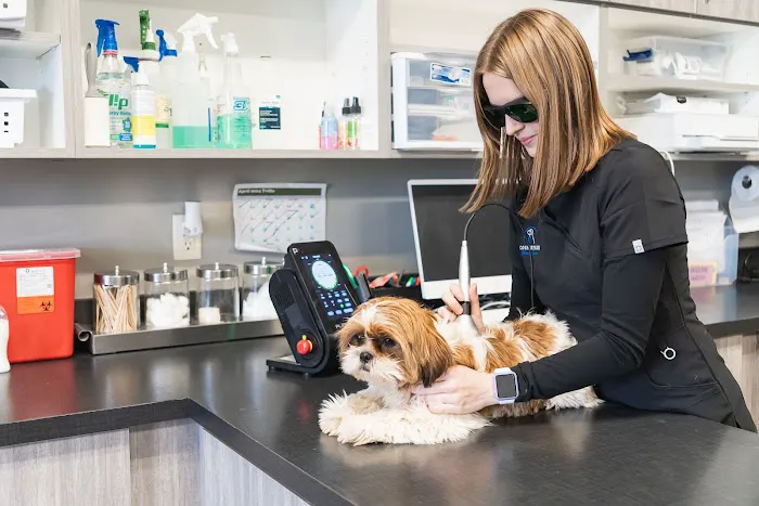 Countryside Veterinary Service Picture 10