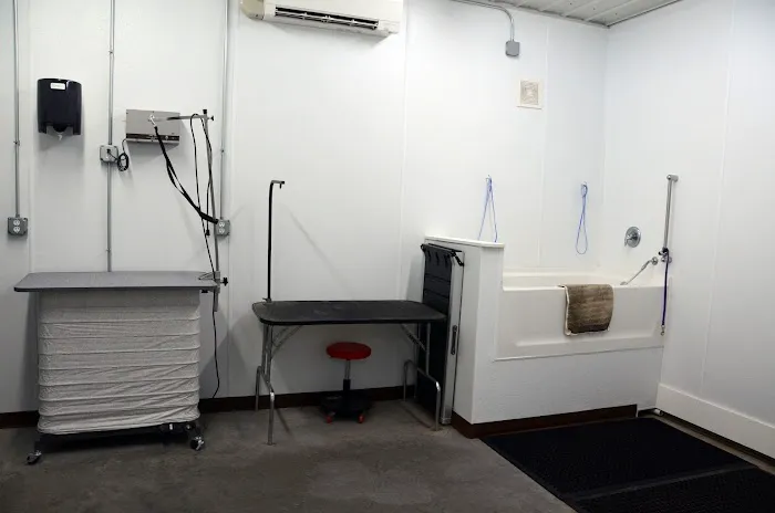 Northside Veterinary Clinic Picture 9