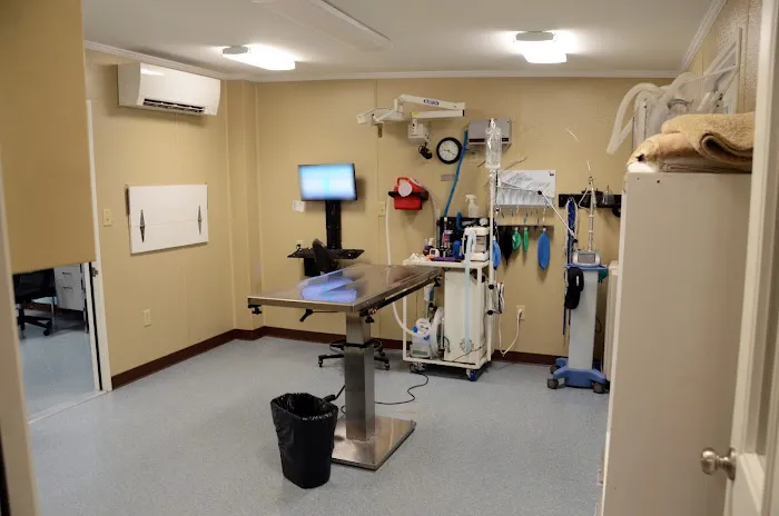 Northside Veterinary Clinic Picture 6