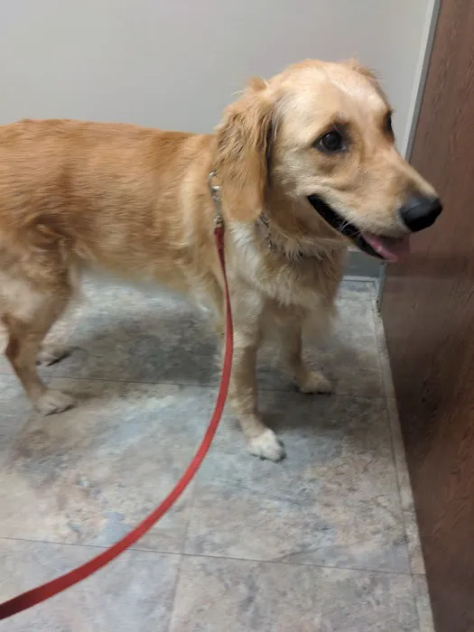 Etheridge Animal Hospital Picture 4