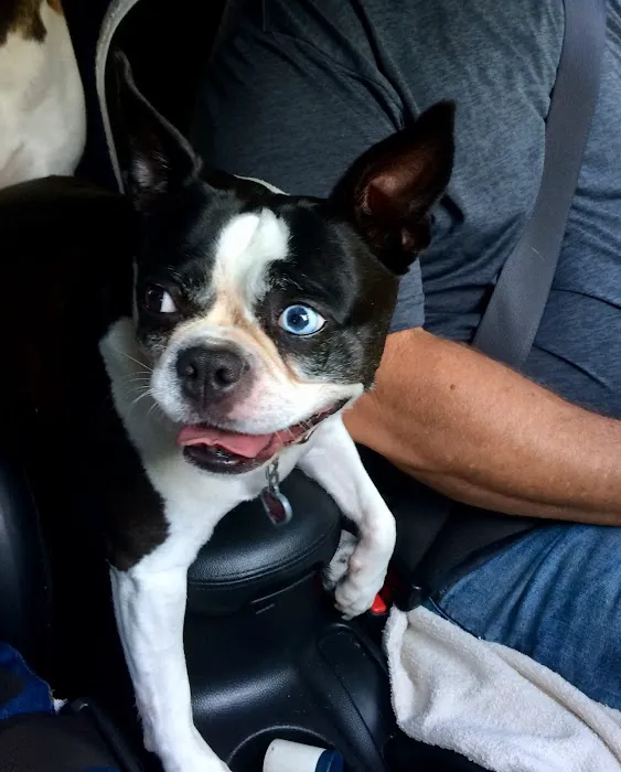Etheridge Animal Hospital Picture 7