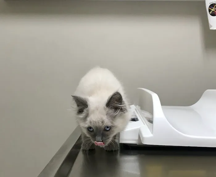 Etheridge Animal Hospital Picture 8