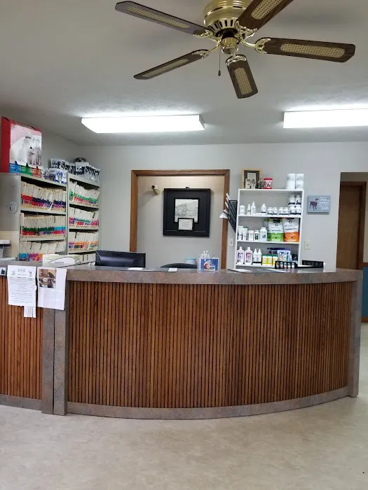 Animal Kingdom Veterinary Clinic Picture 2