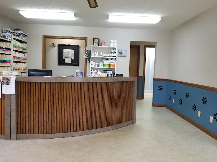 Animal Kingdom Veterinary Clinic Picture 8