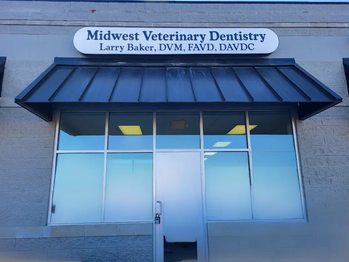 Midwest Veterinary Dentistry Picture 3