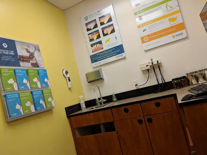 Banfield Pet Hospital Picture 5