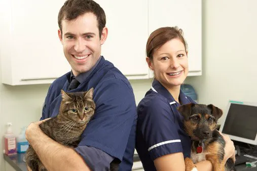 Meadows Animal Hospital Picture 2