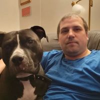 Beaumont Animal Clinic ico