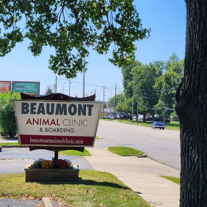 Beaumont Animal Clinic Picture 8