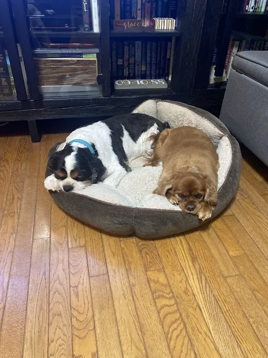 Beaumont Animal Clinic Picture 7