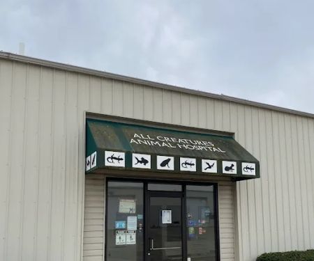 All Creatures Animal Hospital