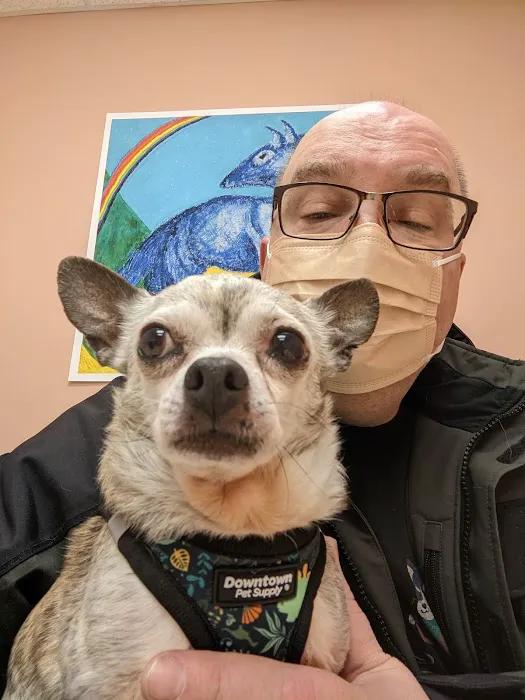 All Creatures Animal Hospital Picture 4