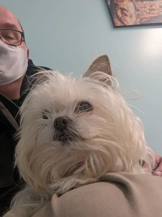 All Creatures Animal Hospital Picture 8
