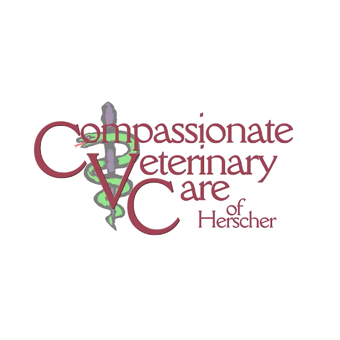 Compassionate Veterinary Care of Herscher Picture 8