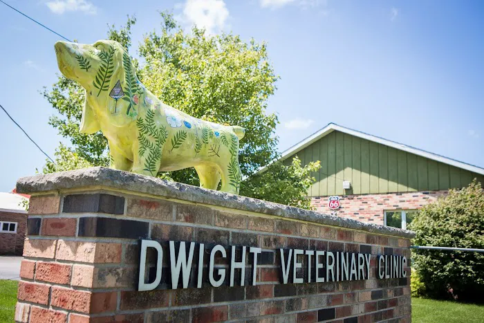 Dwight Veterinary Clinic Picture 2