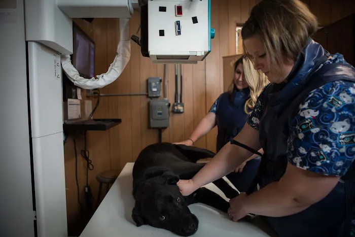 Dwight Veterinary Clinic Picture 5