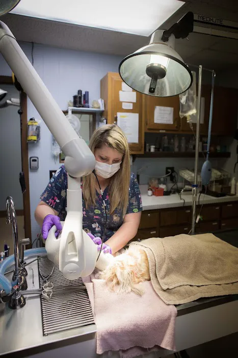 Dwight Veterinary Clinic Picture 6