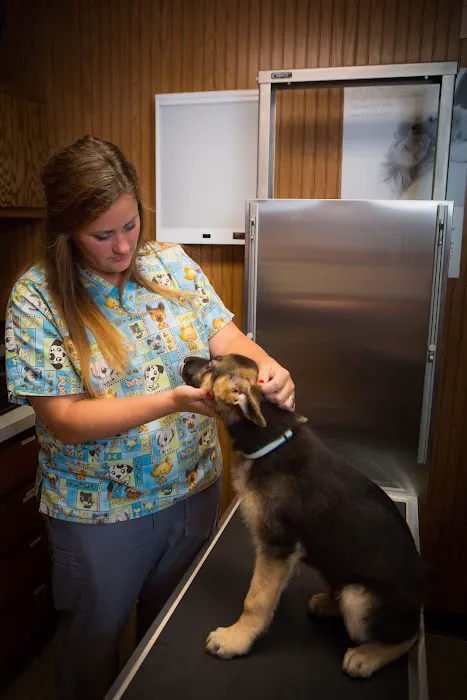 Dwight Veterinary Clinic Picture 10