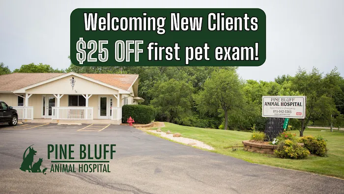 Pine Bluff Animal Hospital Picture 3