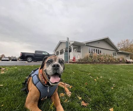 Pine Bluff Animal Hospital