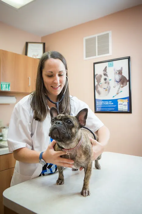 Pine Bluff Animal Hospital Picture 5