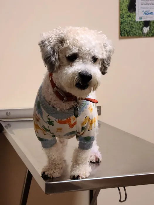 Shirkey Veterinary Clinic Picture 3